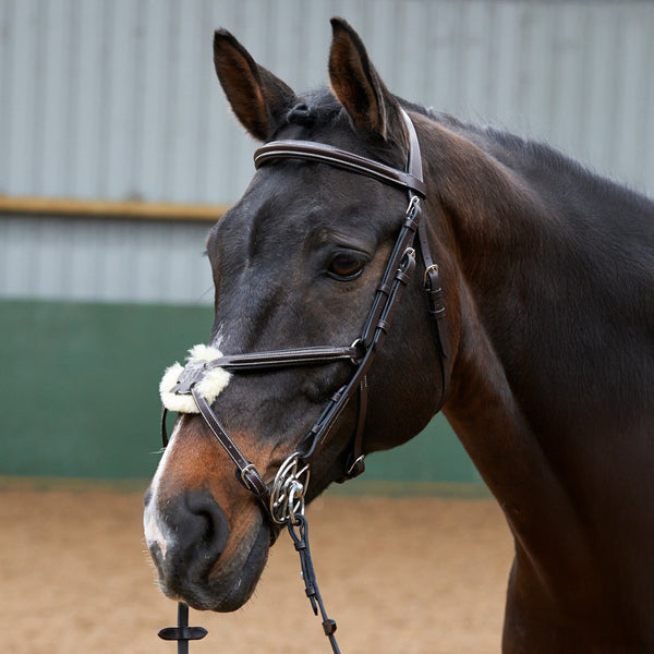 Whitaker Mexican Grackle Bridle With 9 Loop Rubber Reins Pony-Full ...