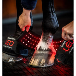 Horseware LED Red Light Therapy Mini Wrap Deep Tissue Injury Infrared Treatment