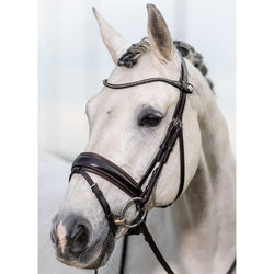 LeMieux Kudos Classic Dressage Bridle Soft Padded Anatomical Crank Black/Brown