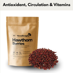Horse Straights Direct Hawthorn Whole Berries Circulation Antioxidant Supplement