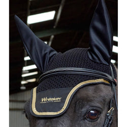 Whitaker Thornton Fly Veil With Squared Peak and Metallic Black/Gold Navy/Silver