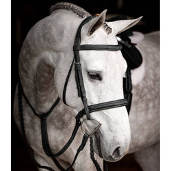 LeMieux Stitched Hunter Bridle + Laced Reins Anatomic Padded Comfort Black/Brown
