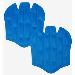 LeMieux ProIce Gel Packs - Freeze Boots Cold Therapy ProIce Wrap Tendon Swelling