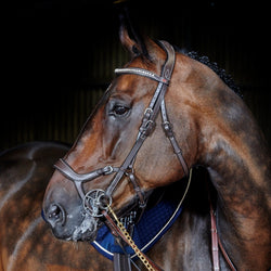 Whitaker Chicago Anatomical Leather Bridle +9 Loop Rubber Grip Reins Black/Brown