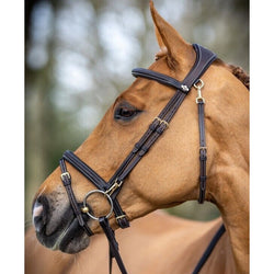 LeMieux Kudos Work Bridle Everyday Soft Padded Anatomical Easy Clips Black/Brown