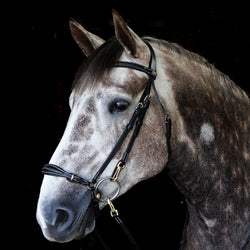 Whitaker Rome Fancy Stitch Dropped Noseband Drop Bridle + 9 Loop Rubber Reins