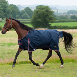 Gallop Trojan Duraproof Lightweight 50G 5-Point Standard Neck Turnout Rug 5'6-7'