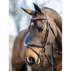 LeMieux Kudos Competition Flash Bridle Soft Padded Anatomical Stitch Black/Brown