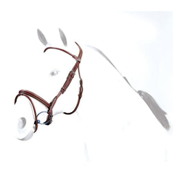 Selleria Equipe Rolled Flash Bridle and Anatomical Headpiece BR39 Black/Brown/Red