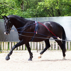 Whitaker Training System Self Carriage Lunge Lunging Pessoa and Adjustable Roller