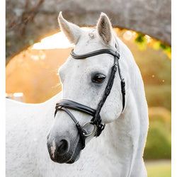 Horseware Pony Dressage Flash Bridle With Elegent Curved Browband Black/Brown