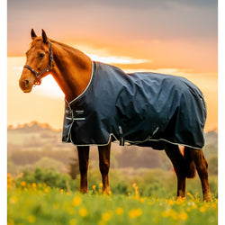 Horseware Amigo Ripstop 900d Turnout Rug Medium/Lightweight 100g Lite 5'6'-7'0'