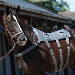 Equilibrium Massage Pad Horse Back Circulation Muscle Relaxing XL Extra Large