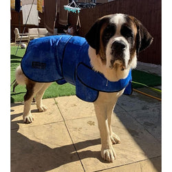 Easidri Cooling Dog Coat Summer Cooling Heat Heatstroke Overheating Protection