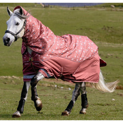 LeMieux Star Turnout Rug 100g + Hood Lightweight Ripstop 600d Spice 3'9-6'9'