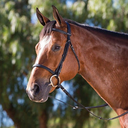 Wintec Synthetic Cavesson Bridle Lightweight Durable Black/Brown Pony/Cob/Full