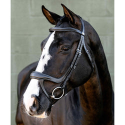 LeMieux Arika Anatomic Split Noseband Bridle Adjustable Padded Mono Black/Brown