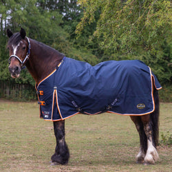 Gallop Trojan Duraproof 100G Standard Light/Medium Weight Turnout Rug 5'6'-7'0'