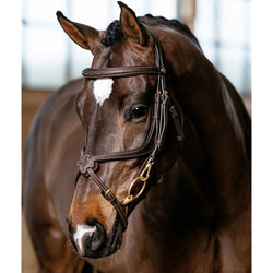 LeMieux Kudos Grackle Work Bridle Mexican Soft Padded Anatomical Black/Brown
