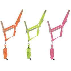 HyVIZ Reflective Flourescent Hi Viz Head Collar and Lead Rope Yellow/Orange/Pink
