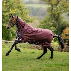 Horseware Amigo Bravo 12 Plus Turnout Rug and Hood Lightweight Lite 0g 3'9-7'3'