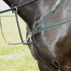 Amerigo Event Breastplate BP06 Anatomic Shaped Elasticated and Padded All Colours
