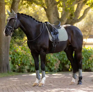 Horse Rugs, Boots and Underblankets