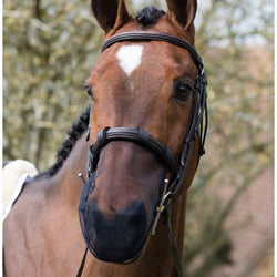 Equilibrium Muzzle Net Cavesson Flash Nose Net Head Shaking Relief White/Black