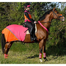 Equisafety Breathable Mesh Quarter Sheet Summer Hi-Viz Fly Protection All Colour