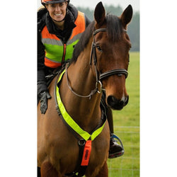 Equisafety Multi-Coloured Neckband Hi Viz Reflective Neck Band Pink/Yellow/Orang