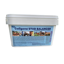 H.Bradshaws Coligone Stud Balancer Supplement Support Mares Youngstock Stallions