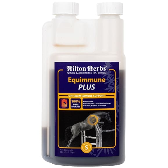 Hilton Herbs Equimmune Plus Supports Strong Healthy Immune System Supplement