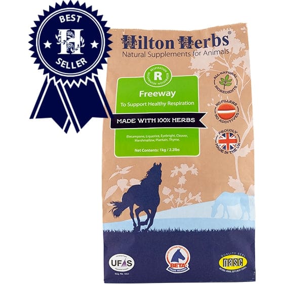 Hilton Herbs Freeway Healthy and Efficient Lungs Airways Equine Support Supplement