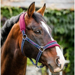 Horseware Rambo Soft Padded Fleece Headcollar Whitney Gold/Burgundy/Teal P/C/F