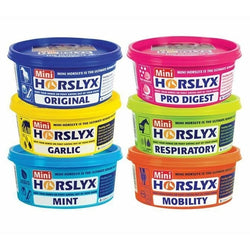 Horslyx MINI SELECTION BOX 6 Original/Mint/Respiratory/Garlic/Mobility/ProDigest