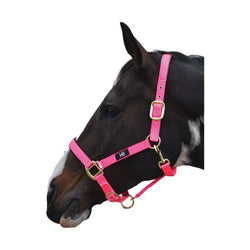 Hy Equestrian Grand Prix Head Collar Chocolate Hot Pink Hot Orange Navy Grey
