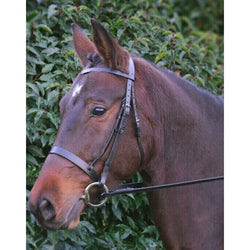 Hy Equestrian Hunter Bridle with Rubber Grip Reins Brown/Black Pony/Cob/Full/XF
