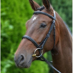 Hy Equestrian Padded Cavesson Bridle with Rubber Grip Reins Brown/Black Leather