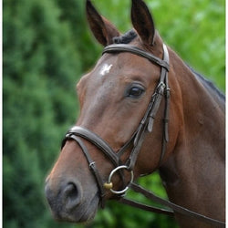 Hy Equestrian Padded Flash Bridle with Rubber Grip Reins Brown/Black Leather
