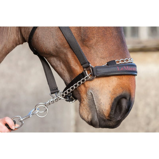 LeMieux Pro Safe Controller Headcollar Strong Chain Safety Head Collar Halter Cork Farm Equestrian