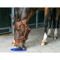 Likit Graze Maze Slow Feeding Licki Licky Lick Mat Horses Boredom Relief Treat