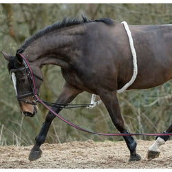 Mark Todd Lunging Aid Soft German Cotton Lunge Rope Harry Helps Stretch Back