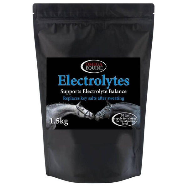 Omega Equine Electrolytes Replenishes Salts and Hydrates After Exercise and Sweating