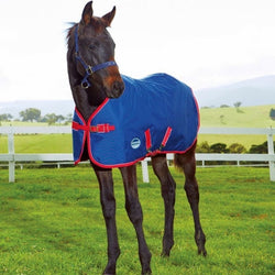 WeatherBeeta 1200D Foal Standard Neck Medium II 220g 1200D Ripstop Turnout Rug 4'6" SALE