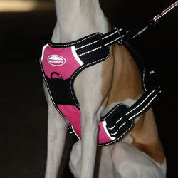 WeatherBeeta Anti Pull/Travel Harness Two In One Padded Walking and Car Harness