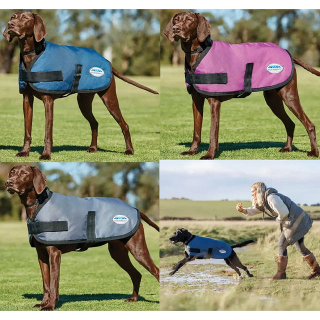 Weatherbeeta waterproof dog coat hotsell