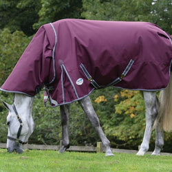 WeatherBeeta ComFiTec Plus Dynamic II Detach-A-Neck Medium/Lite 100g Turnout Rug
