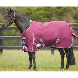 WeatherBeeta ComFiTec Plus DynamicII Standard Neck MediumWeight Turnout Rug 220g