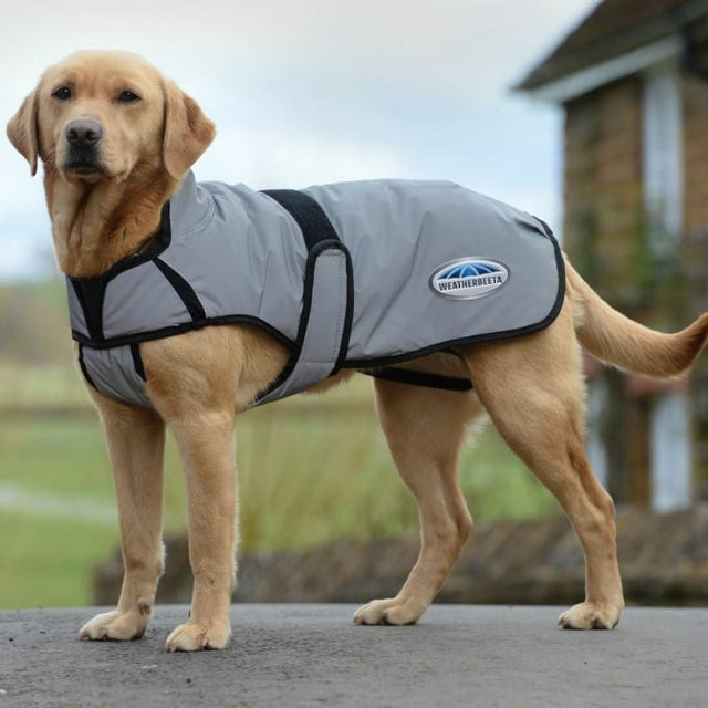 WeatherBeeta ComFiTec Reflective Dog Coat Medium Hi Viz Showerproof 22 Cork Farm Equestrian