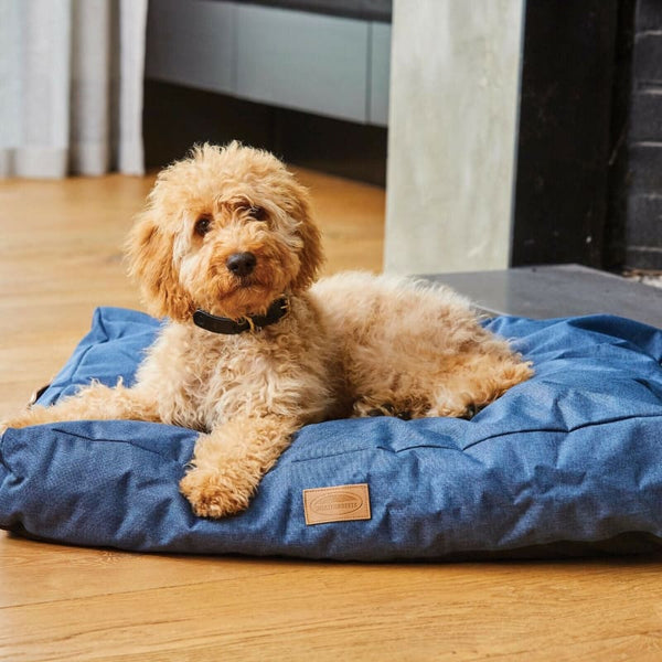 WeatherBeeta Pillow Denim Dog Bed With Removable Machine Washable Outer Blue
